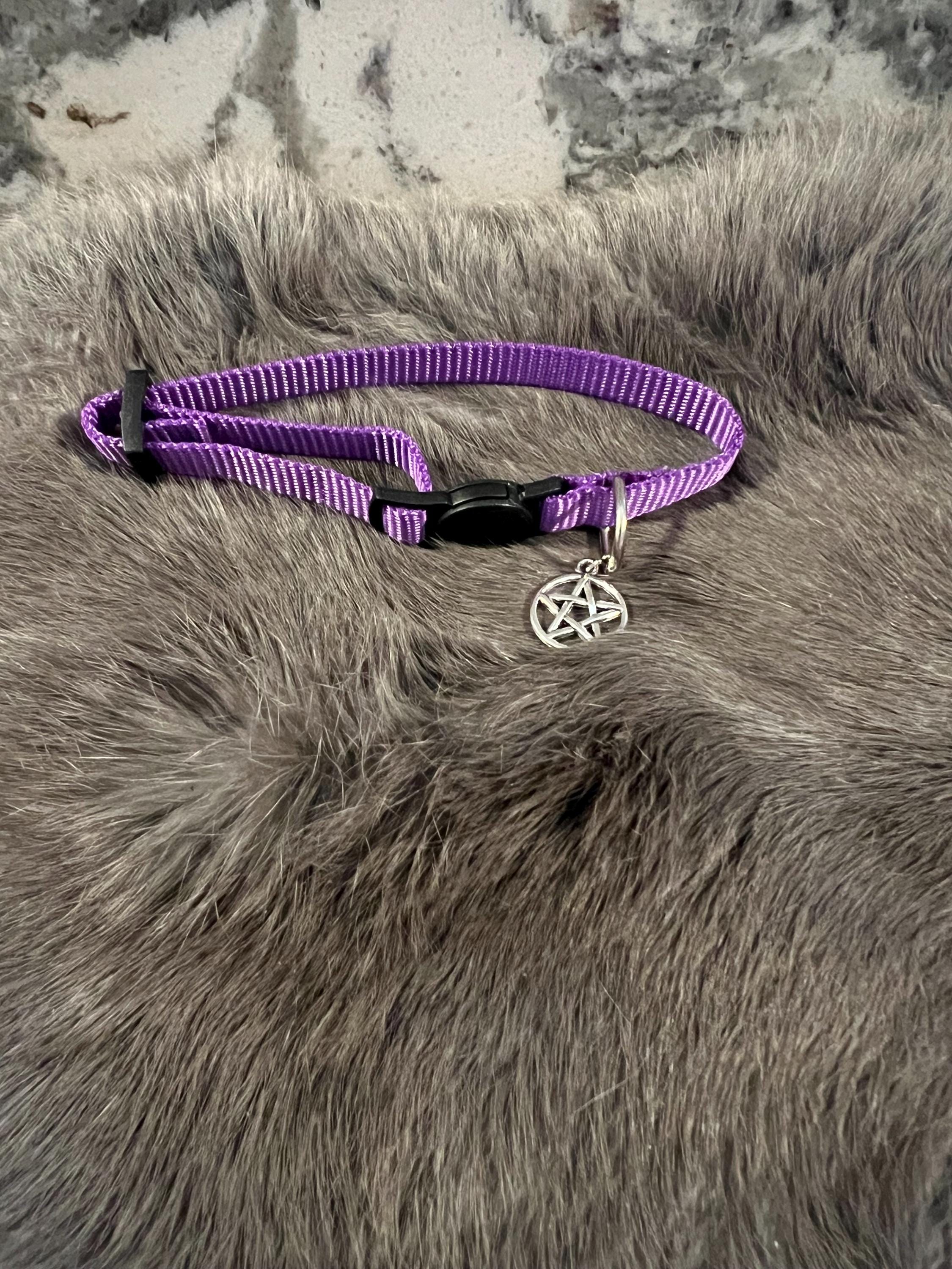 Blessed Pet Collar: Witchy Familiar Protection Collar with Pentacle Charm