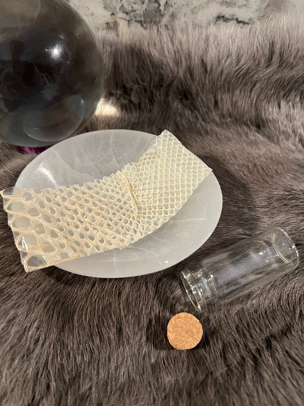 Snake Skin: Ethically and Sustainably Sourced Snake Shed - Transformation Magic