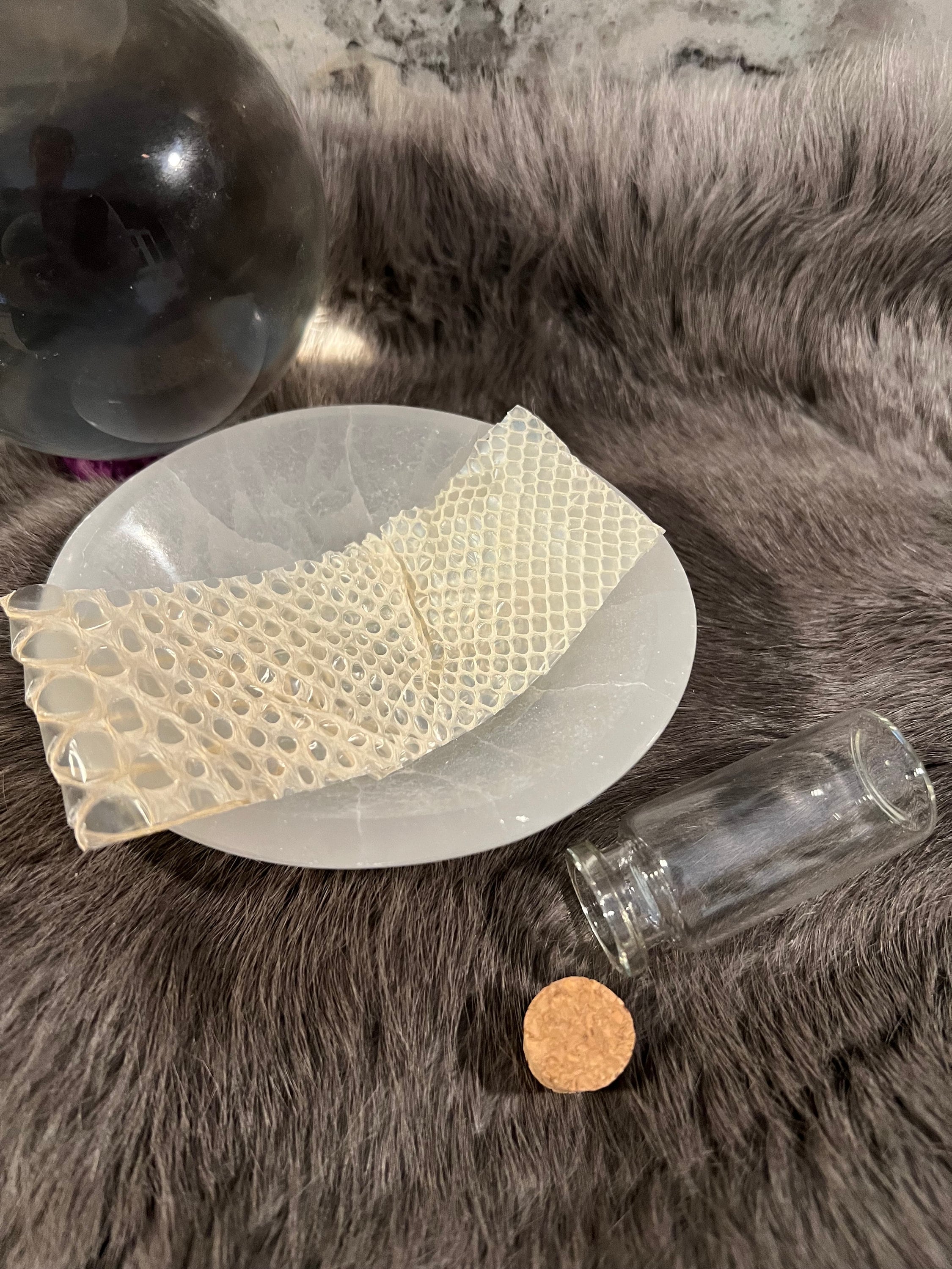 Snake Skin: Ethically and Sustainably Sourced Snake Shed - Transformation Magic