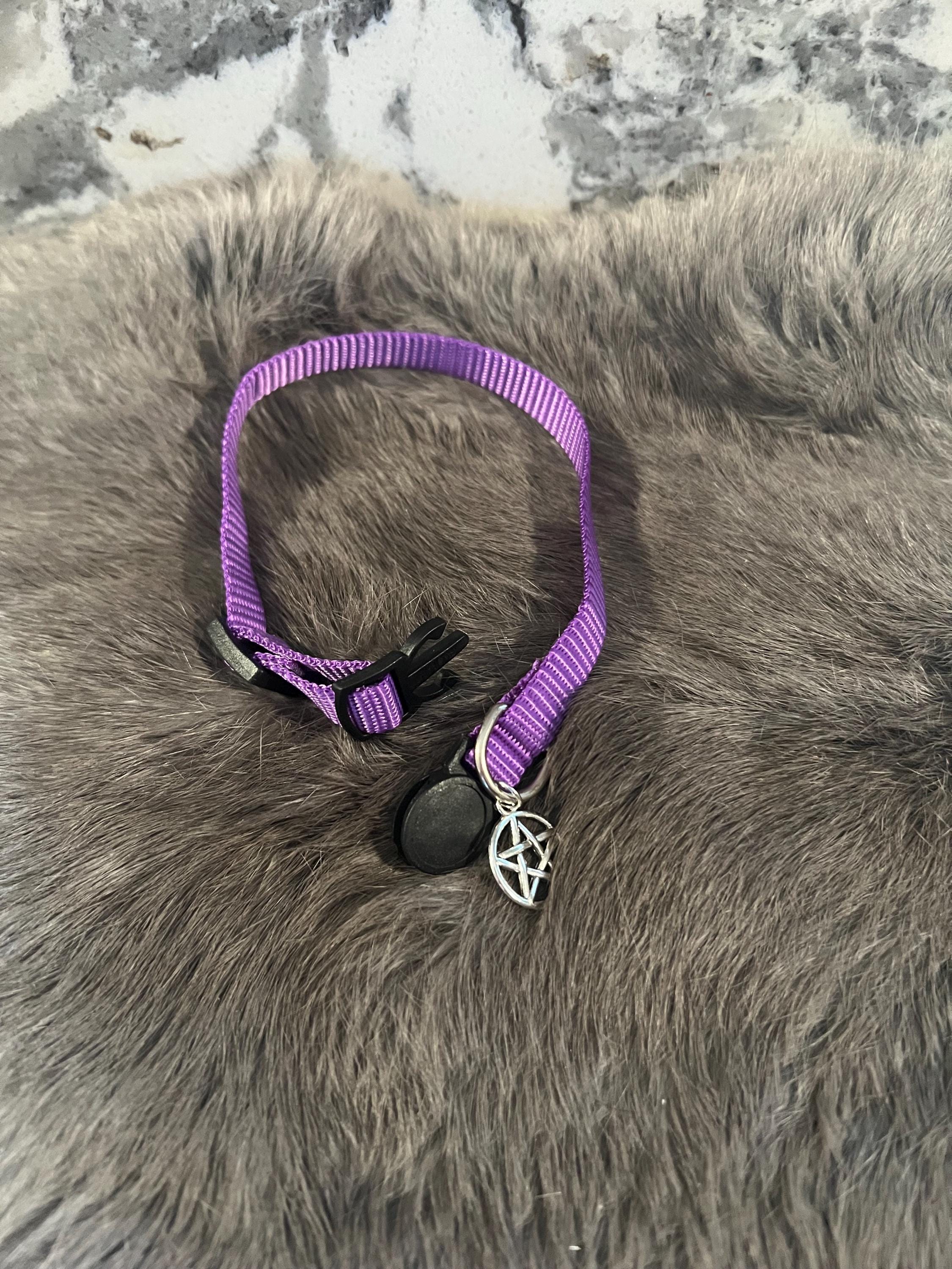 Blessed Pet Collar: Witchy Familiar Protection Collar with Pentacle Charm