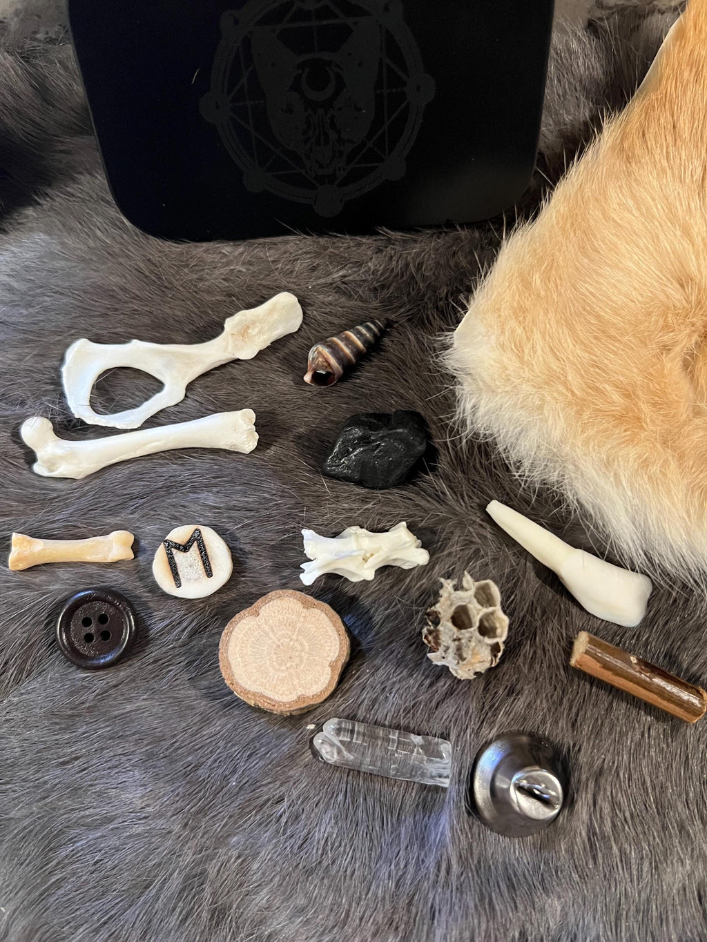 Miniature Bone Throwing or Charm Casting Starter Kit