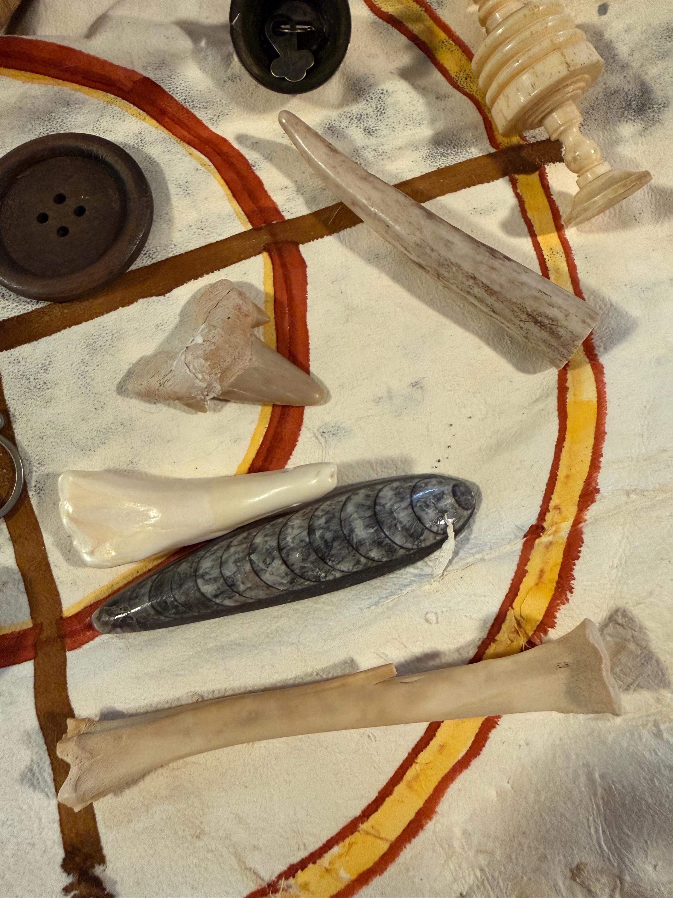 Bone Throwing or Charm Casting Starter Kit: ONE OF A KIND!