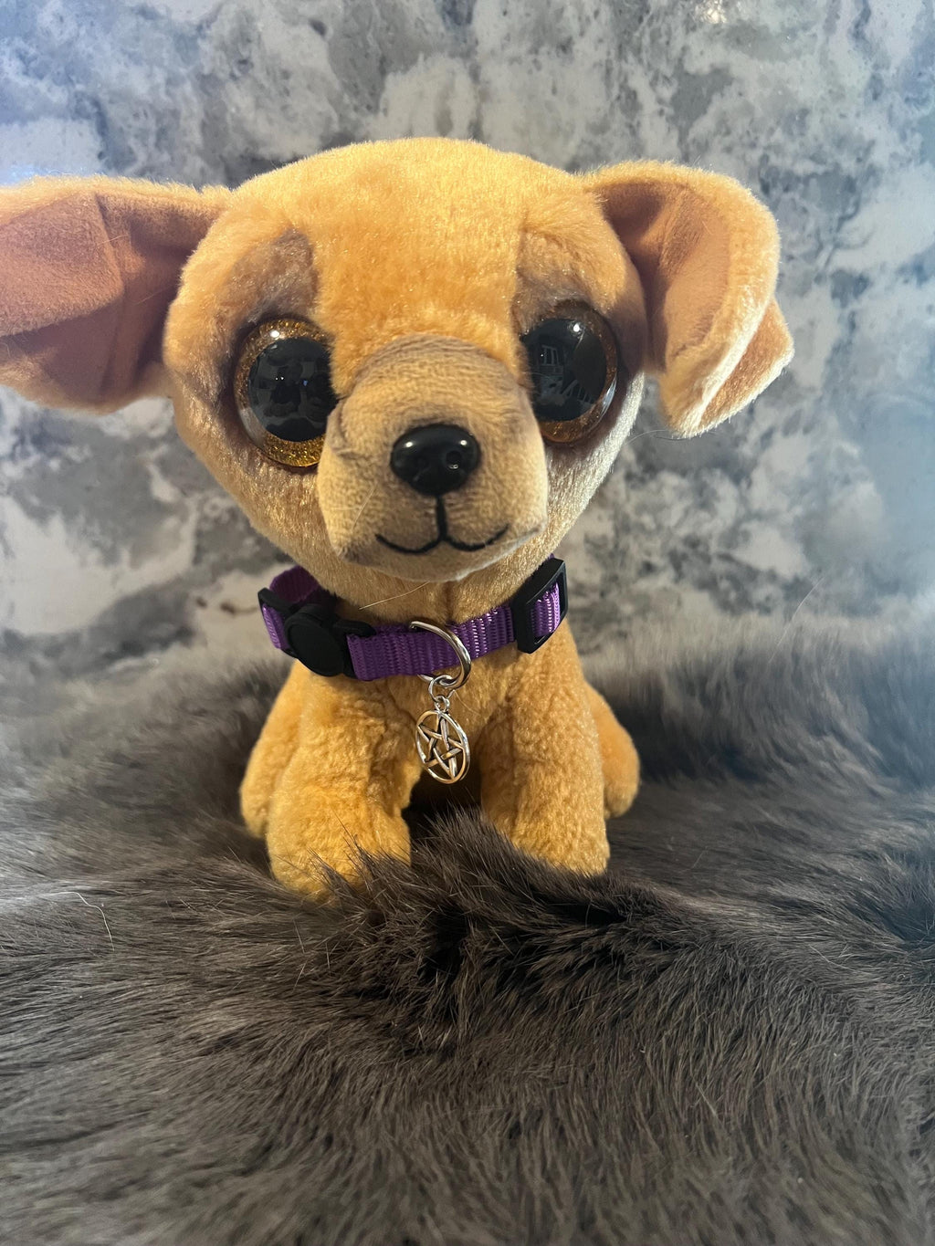 Blessed Pet Collar: Witchy Familiar Protection Collar with Pentacle Charm