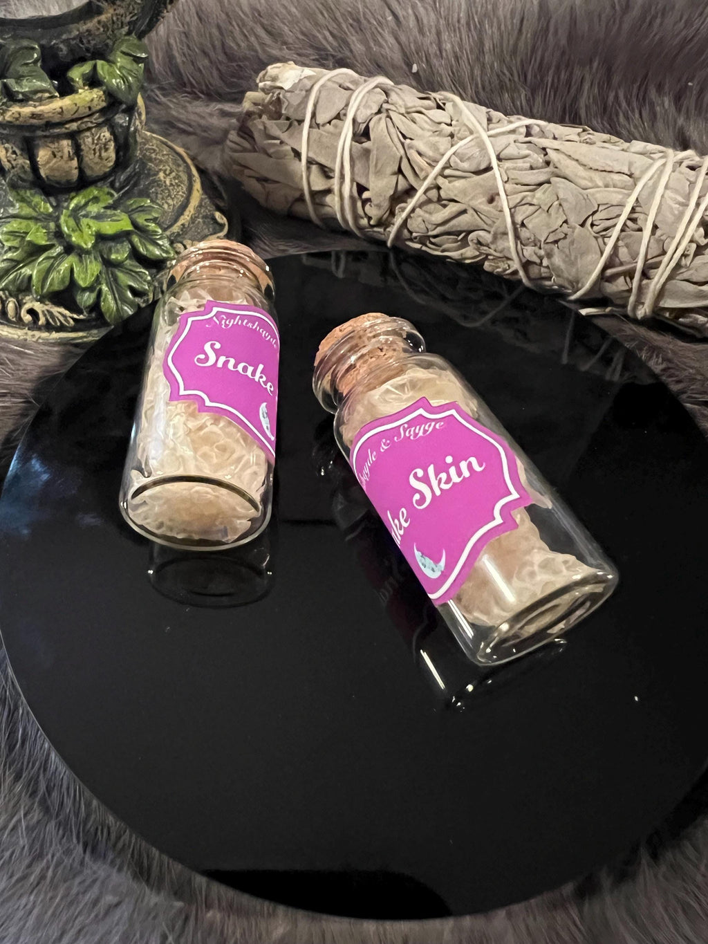 Snake Skin: Ethically and Sustainably Sourced Snake Shed - Transformation Magic