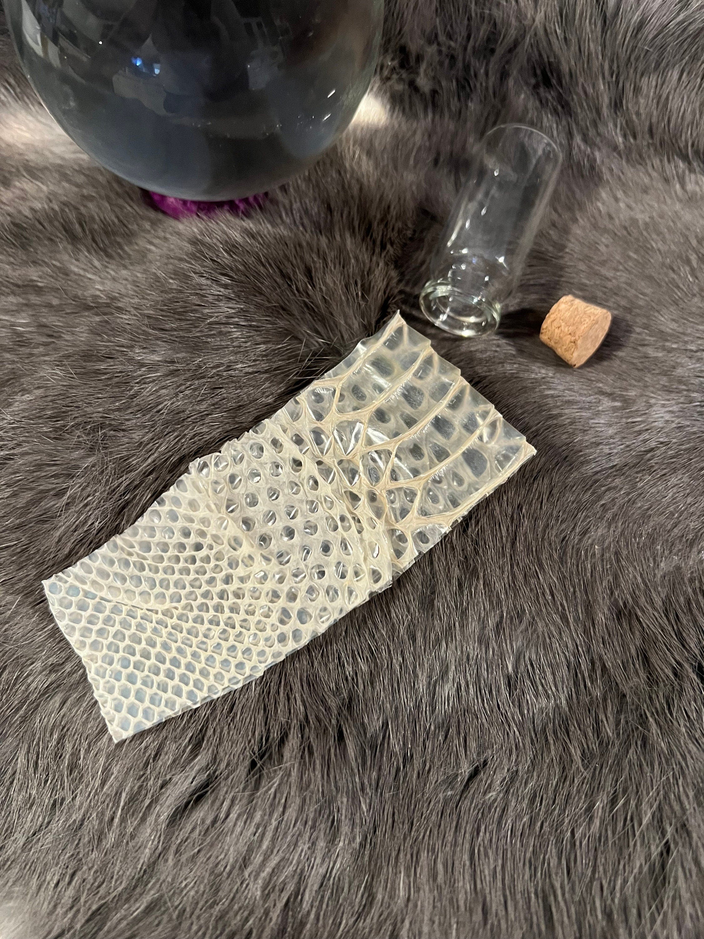 Snake Skin: Ethically and Sustainably Sourced Snake Shed - Transformation Magic