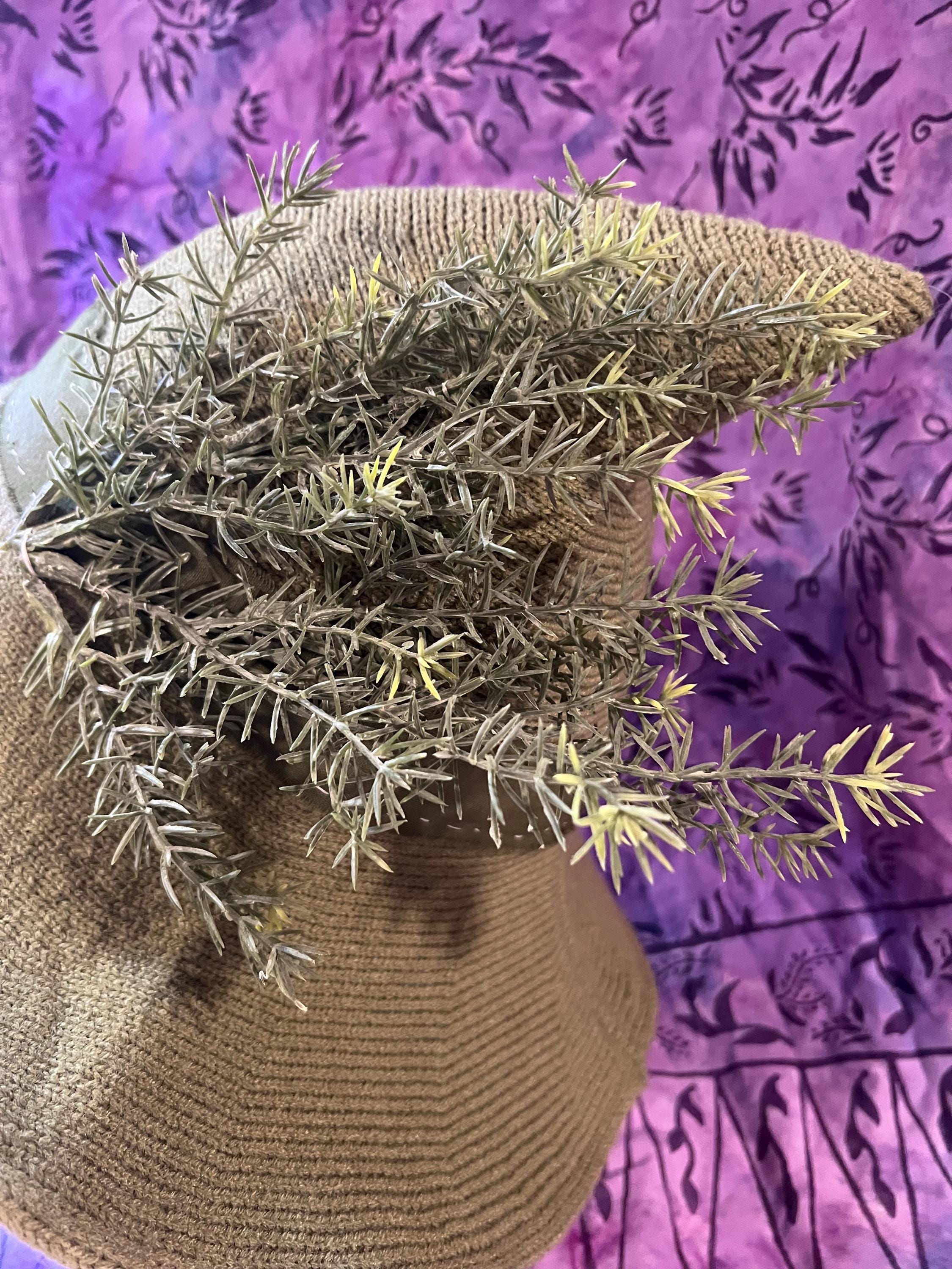 Knit Witch Hat: Green Linen Band, Faux Rosemary Decor