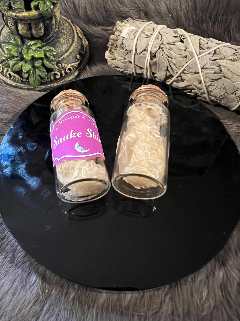 Snake Skin: Ethically and Sustainably Sourced Snake Shed - Transformation Magic