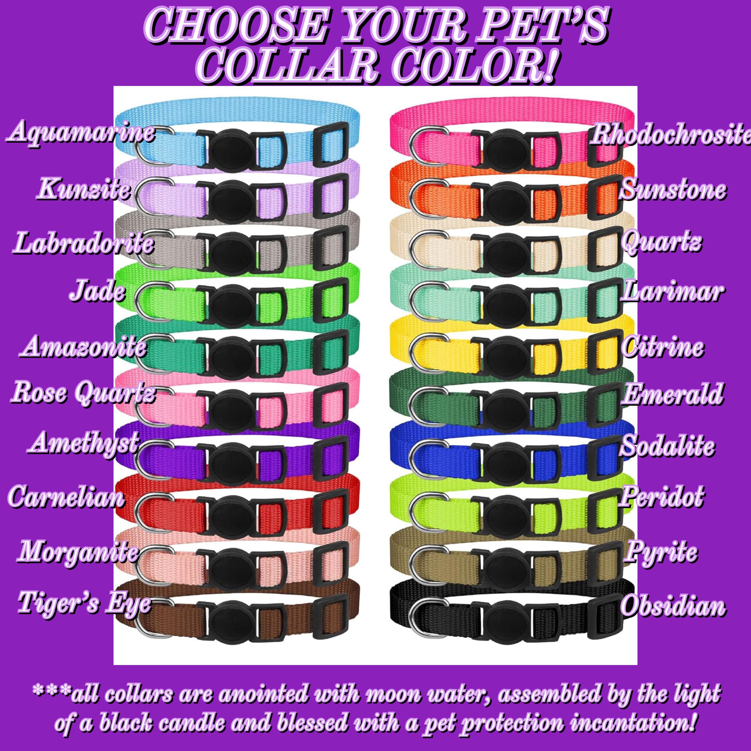 Blessed Pet Collar: Witchy Familiar Protection Collar with Pentacle Charm